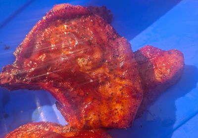 Smoked BONE-IN Pork Chop