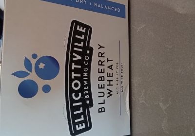 Ellicottville- Blueberry Wheat- 6 can case