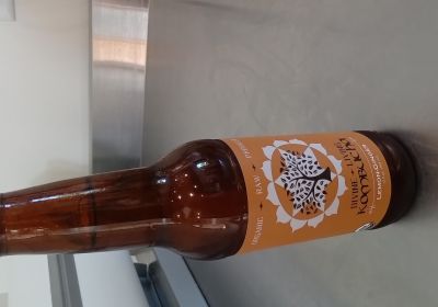 Divine Living - Kombucha Lemon- Ginger 12 oz