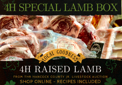 4H Raised Lamb Box